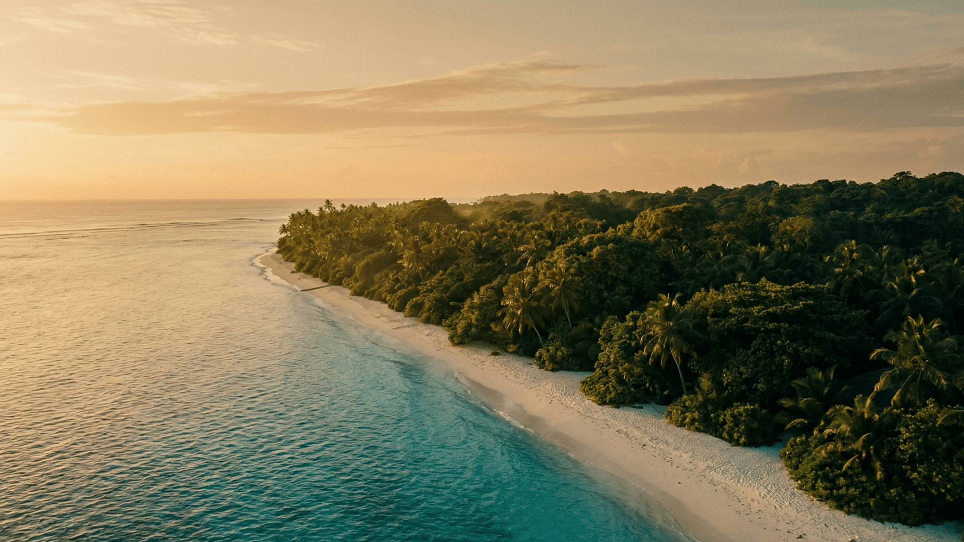 Aerial view of tropical coastline